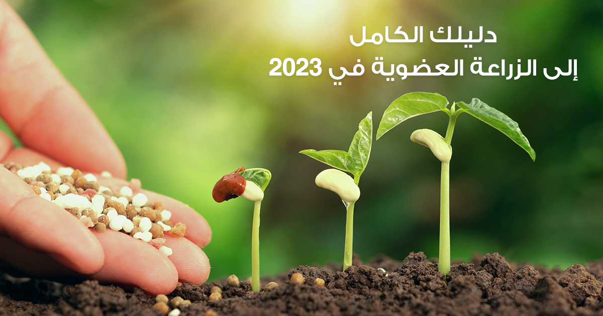 دليلك الكامل إلى الزراعة العضوية في 2023